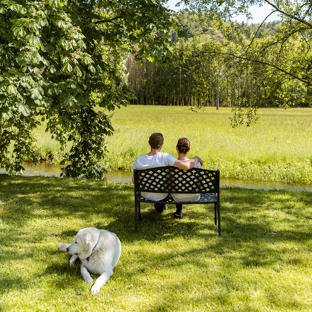 A Complete Guide for North Yorkshire Communities Invited to Apply for a Free Friendship Bench