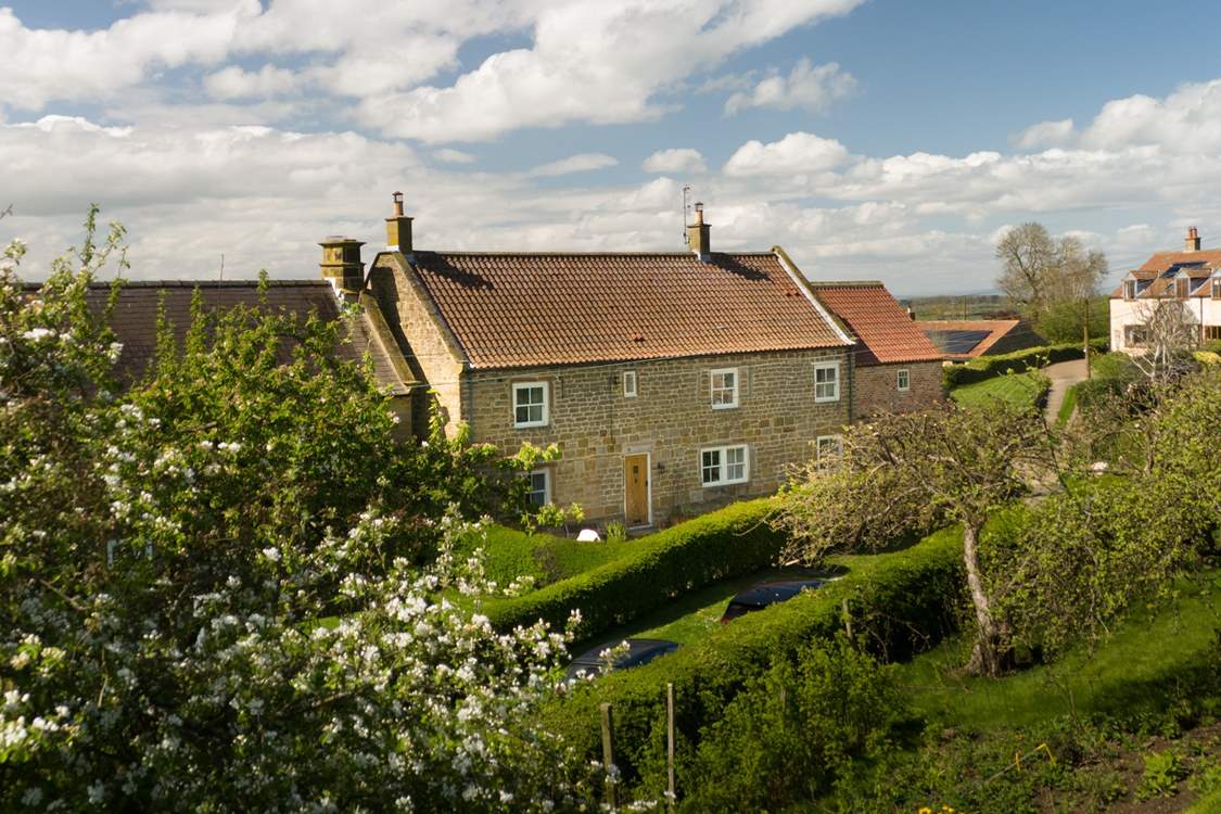 Accommodation at Ivy House in borrowby