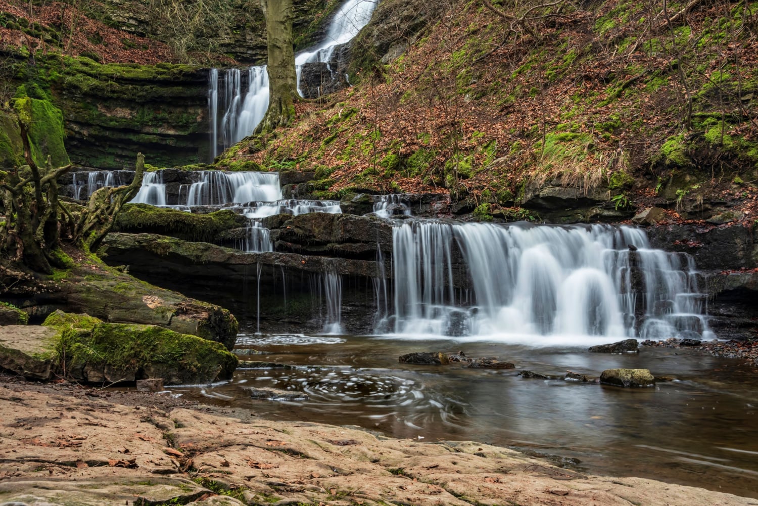Walk: Settle, Scaleber Force and Jubilee Cave